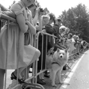 Verloving Prinses Beatrix , drukte langs de weg, Bestanddeelnr 917-9121