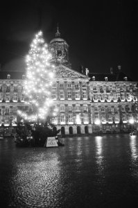 Verlichte kerstboom op Dam in Amsterdam, Bestanddeelnr 928-9280