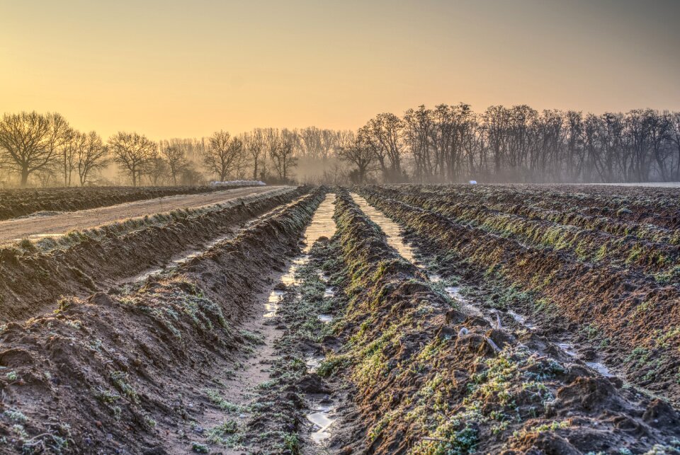 Winter morning cold photo