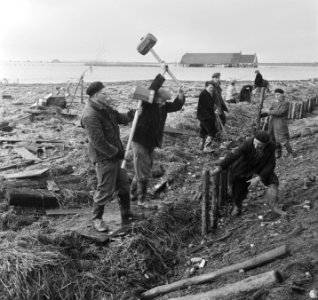 Versterken tot zeewering van de Koksedijk in de buurt van Oostdijk in de Kruinin, Bestanddeelnr 905-5437