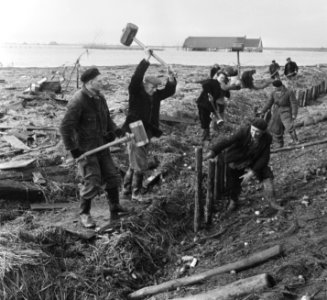 Versterken tot zeewering van de Koksedijk in de buurt van Oostdijk in de Kruinin, Bestanddeelnr 905-5438