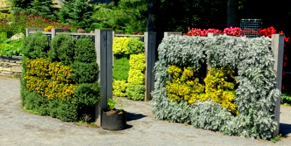 Vertical garden - Coastal Maine Botanical Gardens - DSC03122