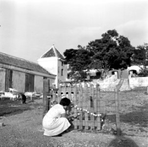 Versieren van een hek bij Landhuis Knip op Curaçao, Bestanddeelnr 252-3491