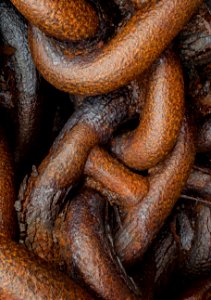 Very rusty chain in rain 2