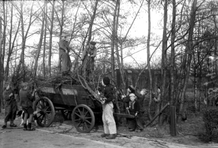 Verzamelen van hout voor Paasvuur in Friesland, Bestanddeelnr 934-7004