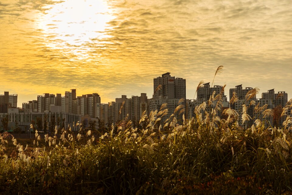 Sf echo park han river
