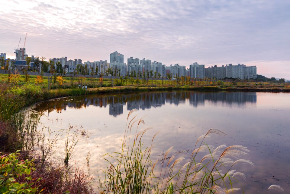 Sf echo park han river