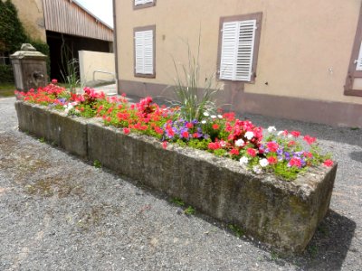 Verdenal (M-et-M) fontaine B