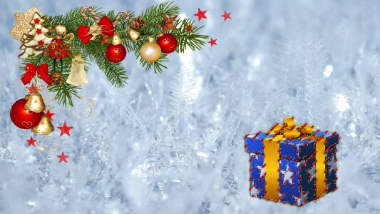 Christmas gift pine