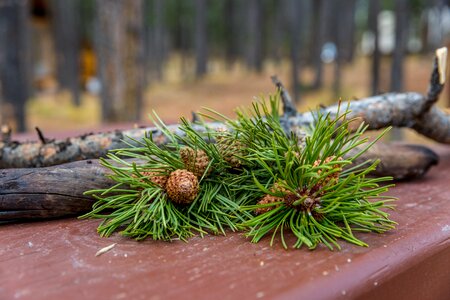 Season camping campsite