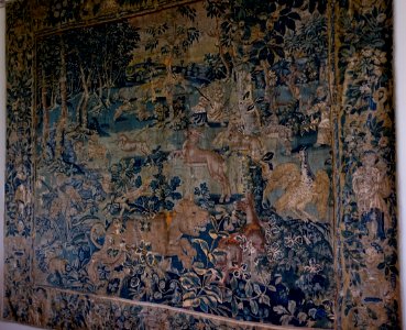 Verdure with wild animals, Flemish, c. 1570-1600, wool and silk - Packwood House - Warwickshire, England - DSC08894