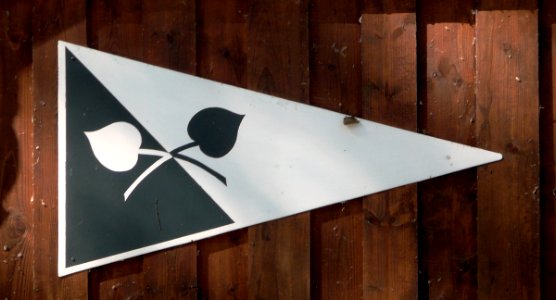 Vereinswimpel Wassersportverein Fraueninsel