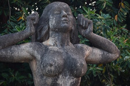 Culture icon lady