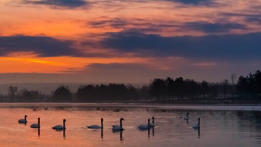Morning lake dawn photo