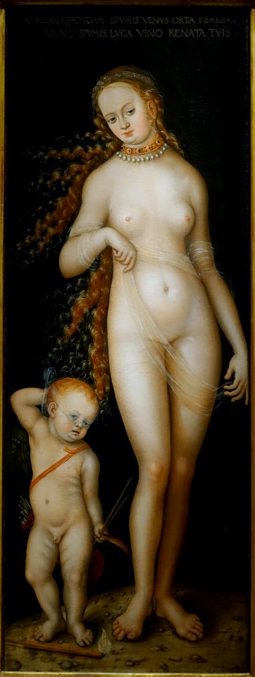 Venus and Amor, by Lucas Cranach the Elder, German, 1518-1520, oil on wood panel - Princeton University Art Museum - DSC06652