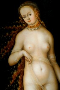 Venus and Amor, by Lucas Cranach the Elder, German, detail, 1518-1520, oil on wood panel - Princeton University Art Museum - DSC06656