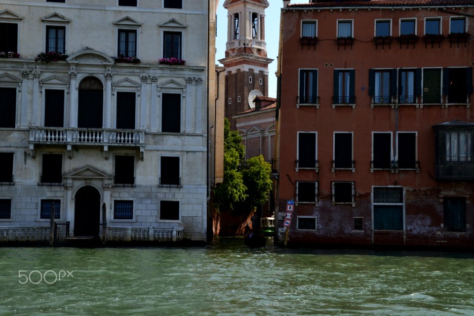 Venice Is My Future (161267847)