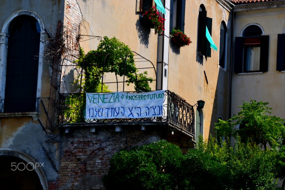 Venice Is My Future (161265995)