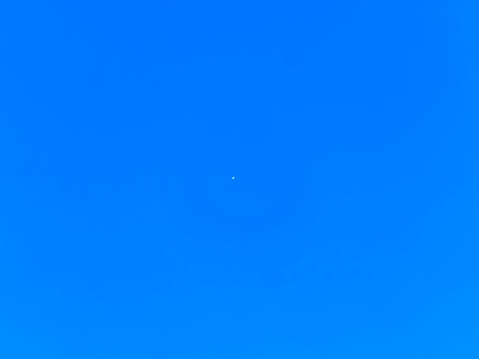 Venus.Tageslicht.P1067711