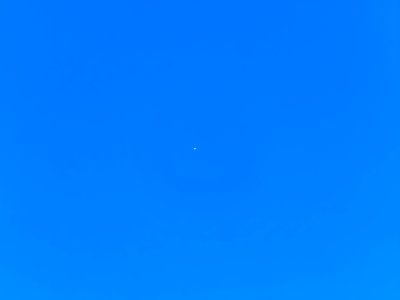 Venus.Tageslicht.P1067711 photo