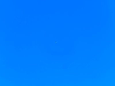 Venus.Tageslicht.P1067711