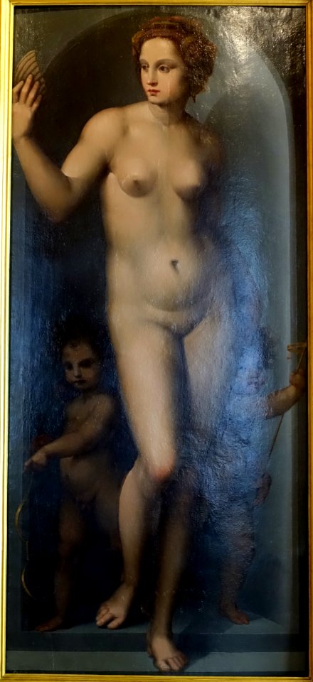 Venus between two cupids, by Andrea di Giovanni Antonio Piccinelli, 1520-1525, oil on panel - Galleria Borghese - Rome, Italy - DSC04624