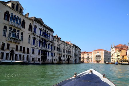 Venice Is My Future (161268423) photo