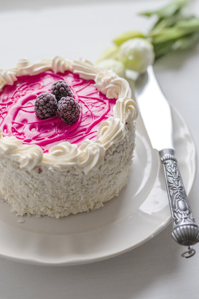 Disk food pastry
