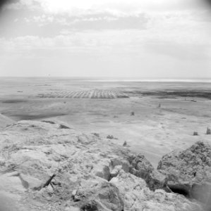 Vergezicht over de vlakte nabij Palmyra, Bestanddeelnr 255-6125