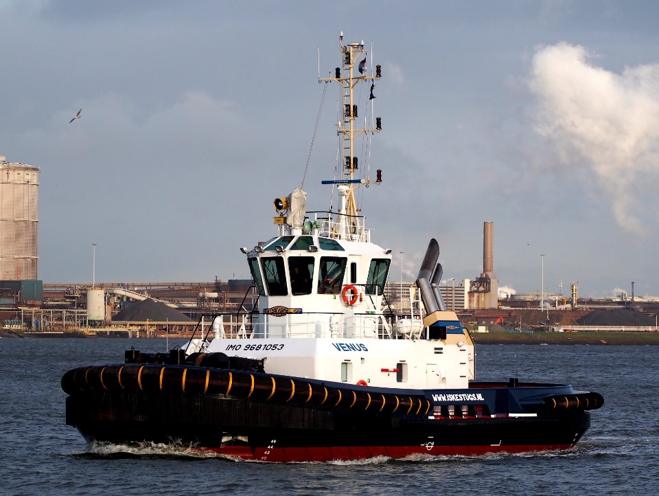 Venus (ship, 2015) IMO 9681053 IJmuiden, Port of Amsterdam pic2