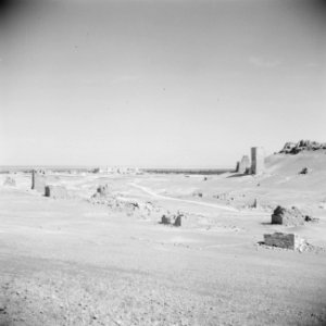 Vergezicht over Palmyra, Bestanddeelnr 255-6119