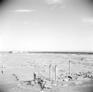 Vergezicht over de vlakte van Palmyra, Bestanddeelnr 255-6127