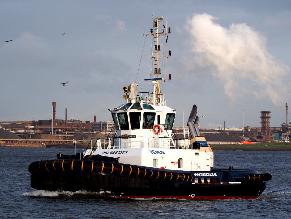 Venus (ship, 2015) IMO 9681053 IJmuiden, Port of Amsterdam pic1