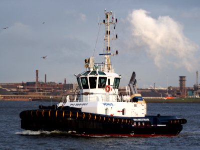 Venus (ship, 2015) IMO 9681053 IJmuiden, Port of Amsterdam pic1