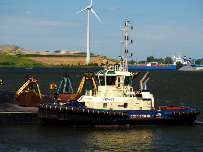 Venus (tugboat, 2015) IMO 9681053, Port of Amsterdam pic1