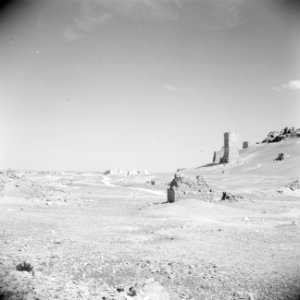 Vergezicht over Palmyra, Bestanddeelnr 255-6117