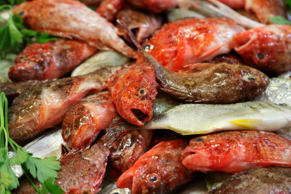Palma palma de mallorca mercat de l'olivar