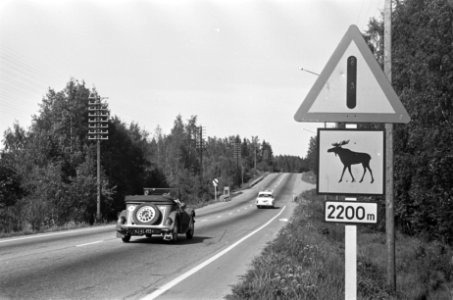 Verkeersbord 'Pas op, elanden', Bestanddeelnr 920-4668