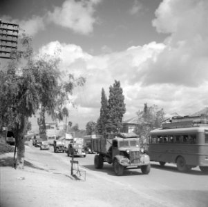 Verkeersdrukte op de oude straatweg van Haifa naar Tel Aviv, Bestanddeelnr 255-0806