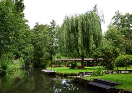 Landscape water idyll