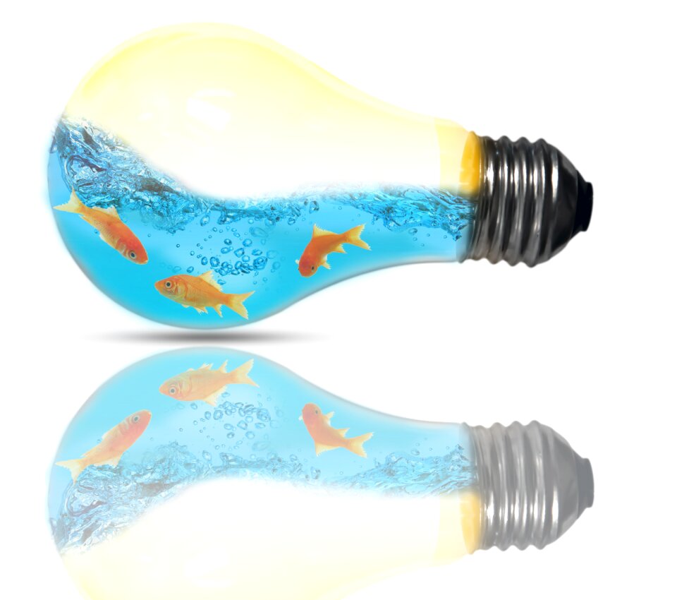 Light bulb creativity imagination