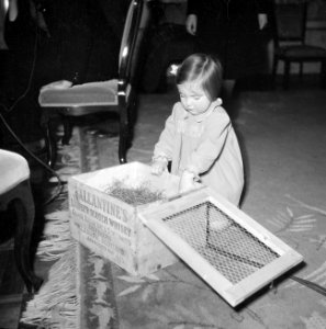 Verjaardag prinses Margriet Prinses Margriet pakt een cadeau uit, Bestanddeelnr 255-7947
