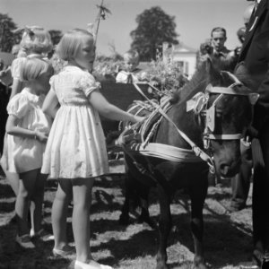 Verjaardag prinses Irene reportage van het kindertuinfeest paleis soestdijk, Bestanddeelnr 900-7009