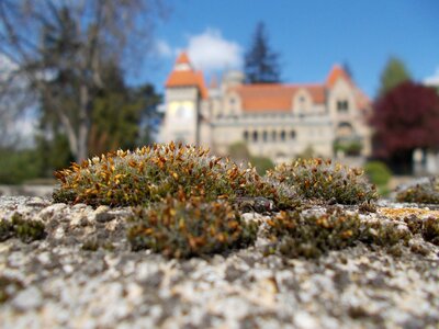 Architecture székesfehérvár moss