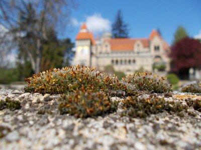 Architecture székesfehérvár moss photo