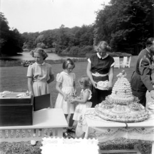 Verjaardag Prinses Irene . Aanbieding cadeau, Bestanddeelnr 905-2527