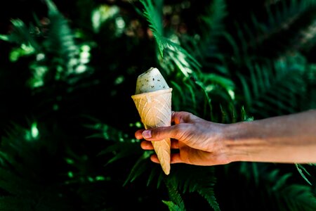 Nature outdoor ice cream