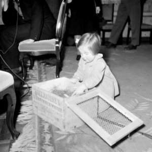 Verjaardag prinses Margriet Prinses Margriet pakt een cadeau uit, Bestanddeelnr 255-7942