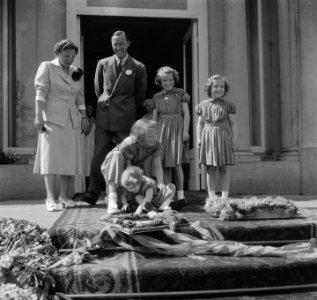 Verjaardag Koningin Juliana, Bestanddeelnr 903-9383