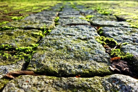 Path walkway paved photo